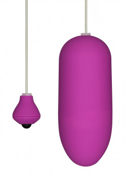 Лиловое виброяйцо Funky Egg ON A Wire - 7,5 см.
