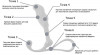Средний черный массажер простаты Zini Janus Anti-Shock